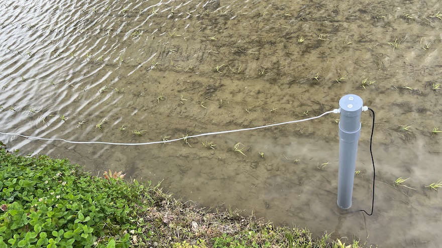 prototype